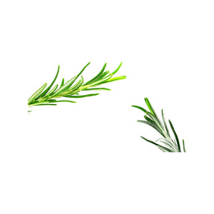 Rosemary leaves